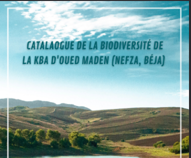Oued Maden Biodiversity