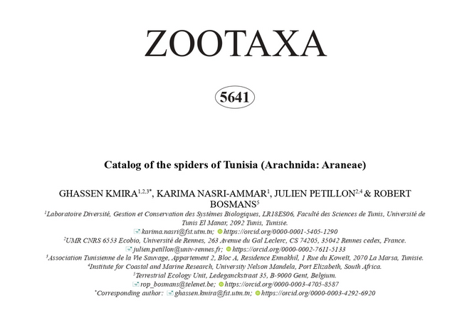 Spiders of Tunisia