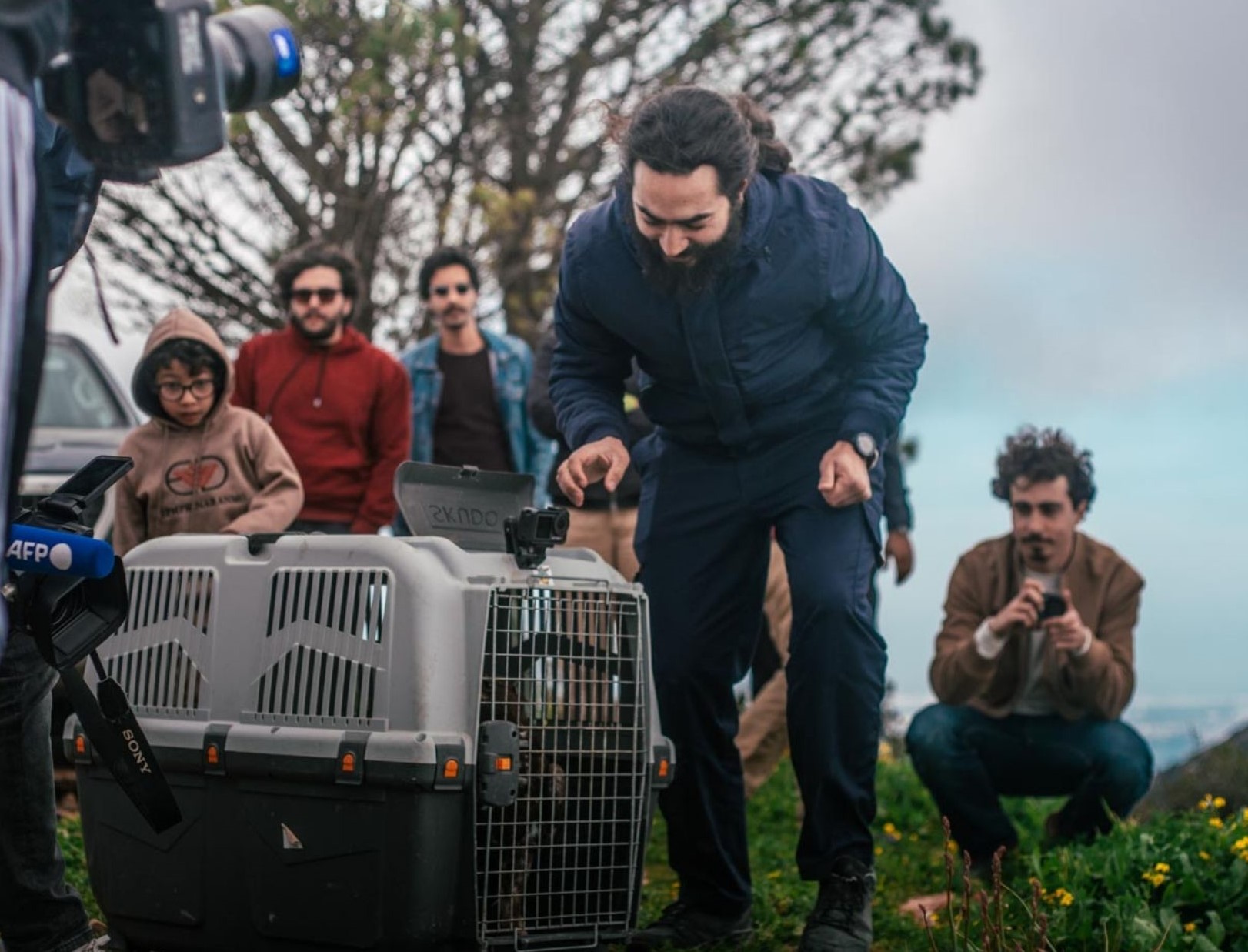 Project Development Director